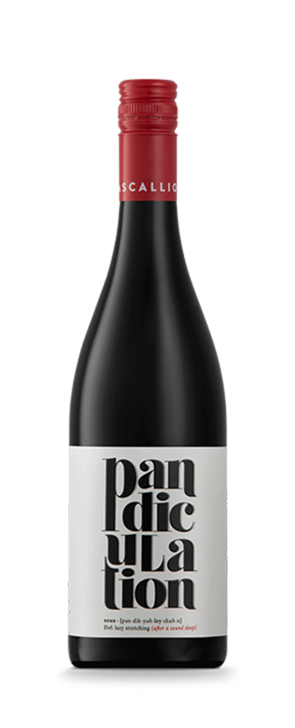 Rascallion Pandiculation Shiraz Blend 